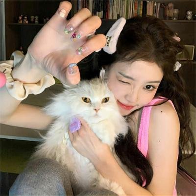 小蜜蜂 勇气的旋律